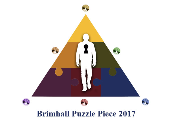 puzzle_logo