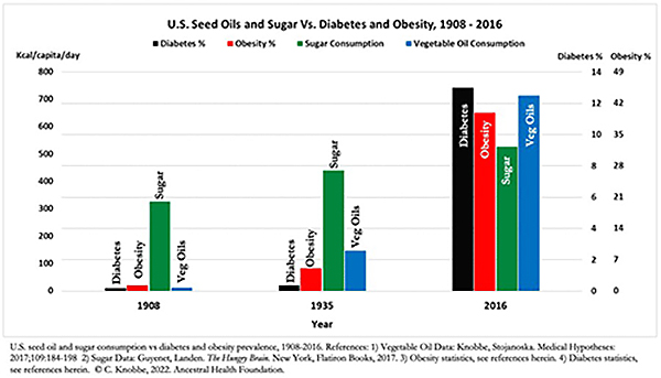 seed_oils 3