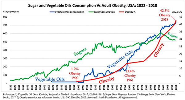 vegetable_oils 3