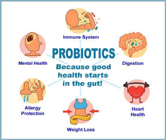 probiotics2