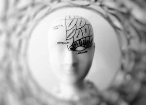 brain age