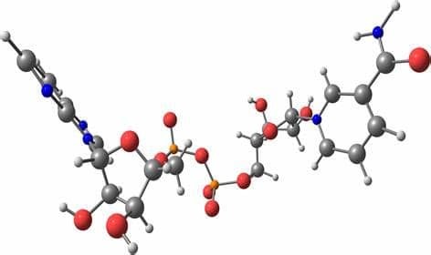 molecule