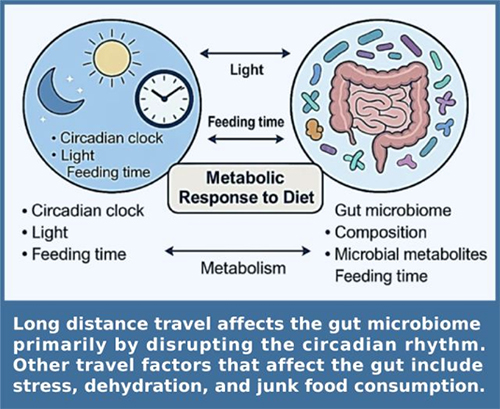 metabolic_response metabolic_response