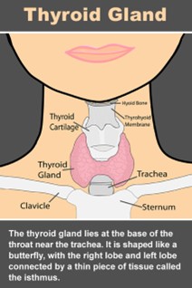 hypothyroidism hypothyroidism